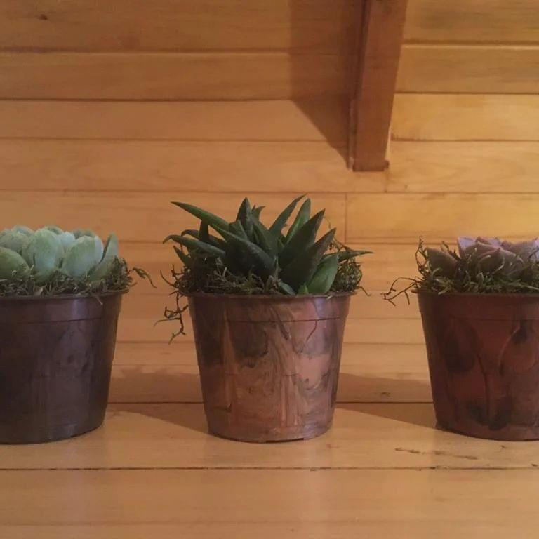 Kit de 20 peças de vaso plástico N14 tipo Holambra com cores amadeiradas